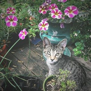 Meet your Posher, Diane